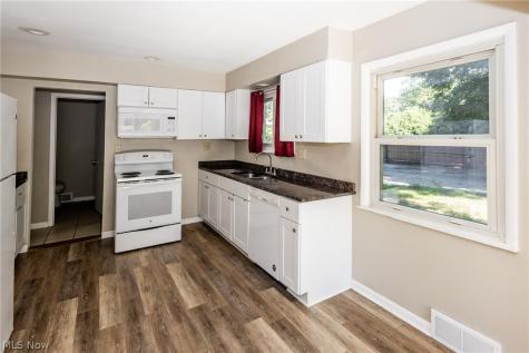 71 Sivon Drive Painesville OH 44077