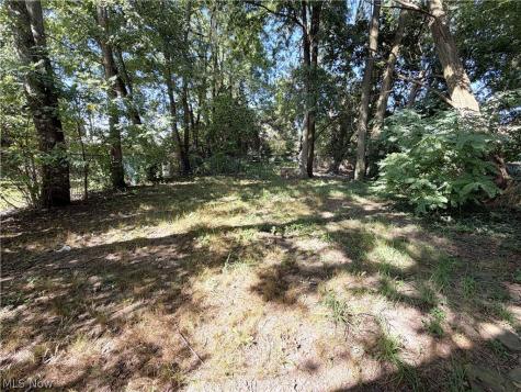 547 Morgan Avenue Akron OH 44311