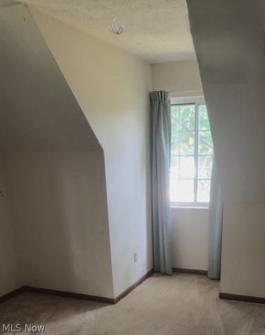9524 Lasalle Lane Mentor OH 44060