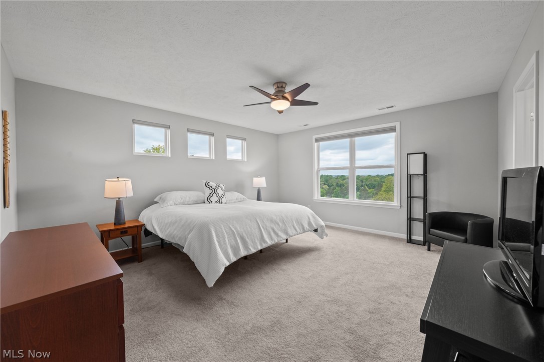 325 Denali Court Macedonia OH 44056
