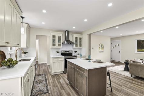 13366 Richards Drive Strongsville OH 44149