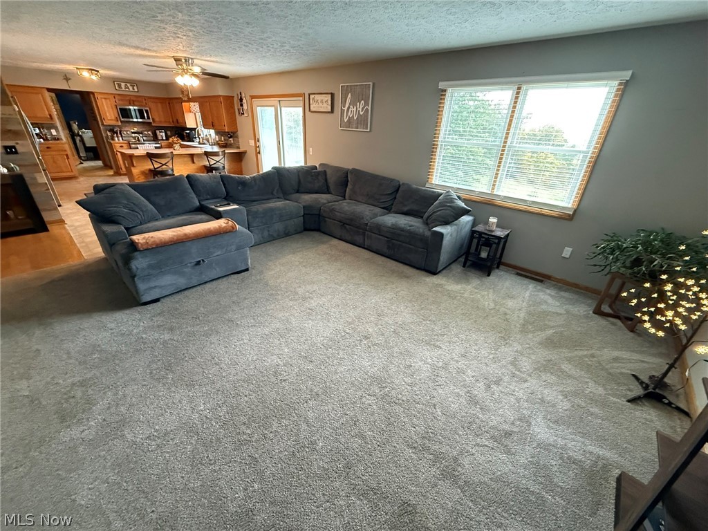 10274 Laurens Drive NE Bolivar OH 44612
