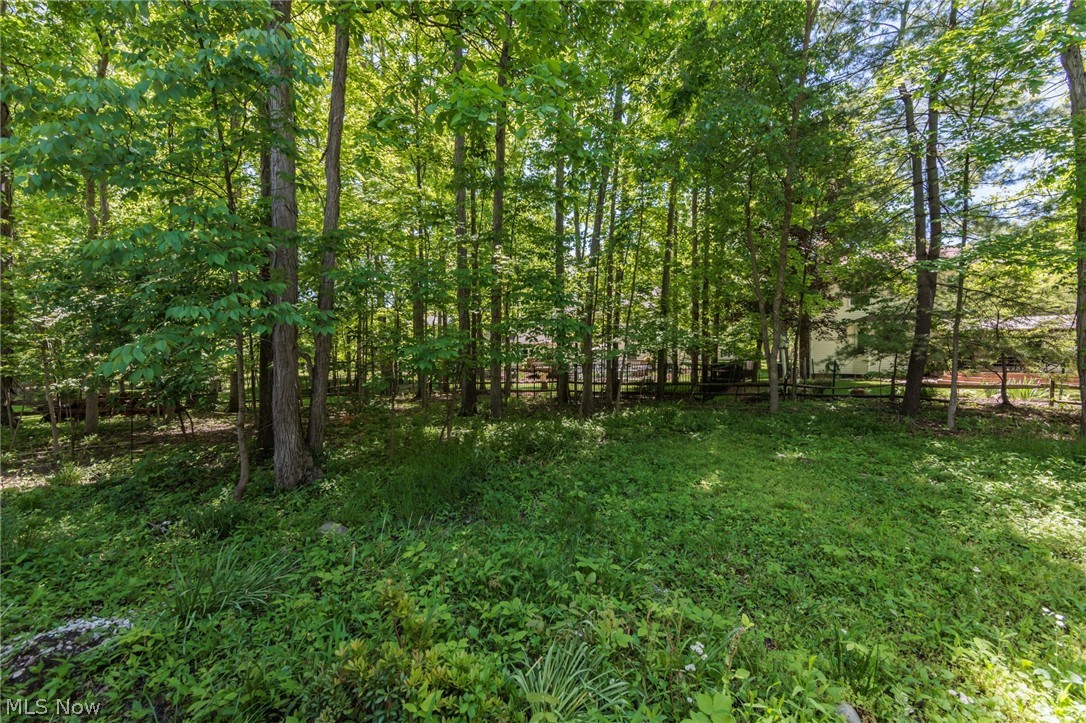 818 Shagbark Trail Medina OH 44256