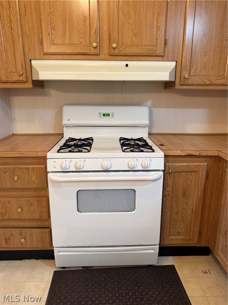 10096 William Henry Drive Streetsboro OH 44241