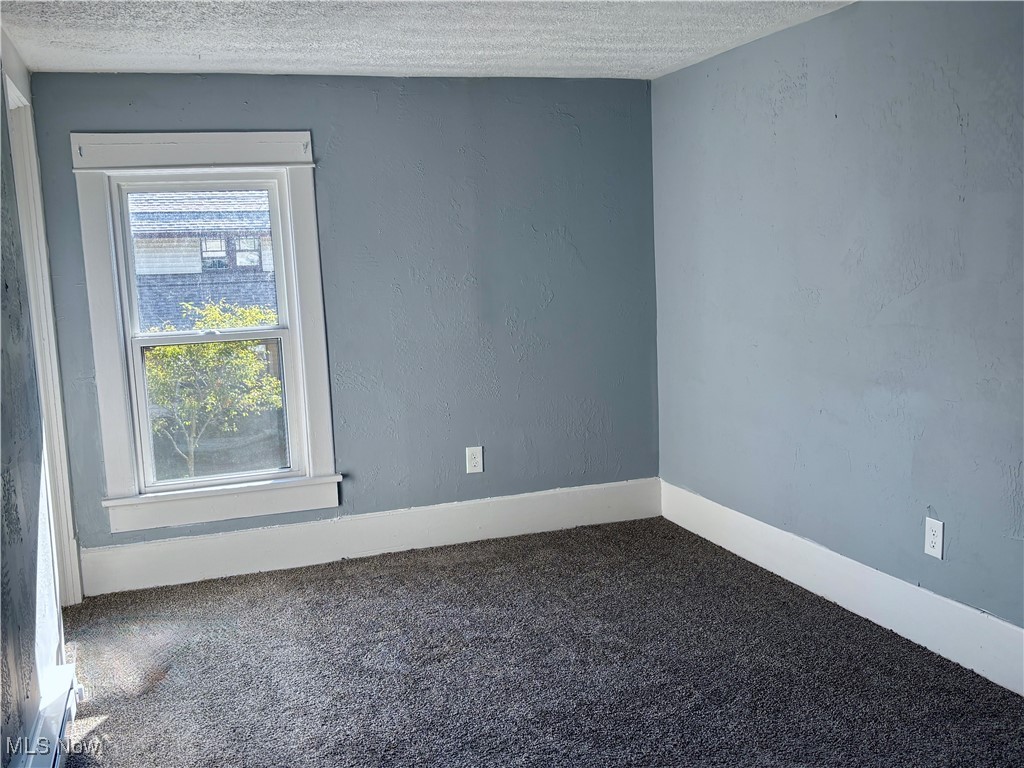 1062 Big Falls Avenue Akron OH 44310