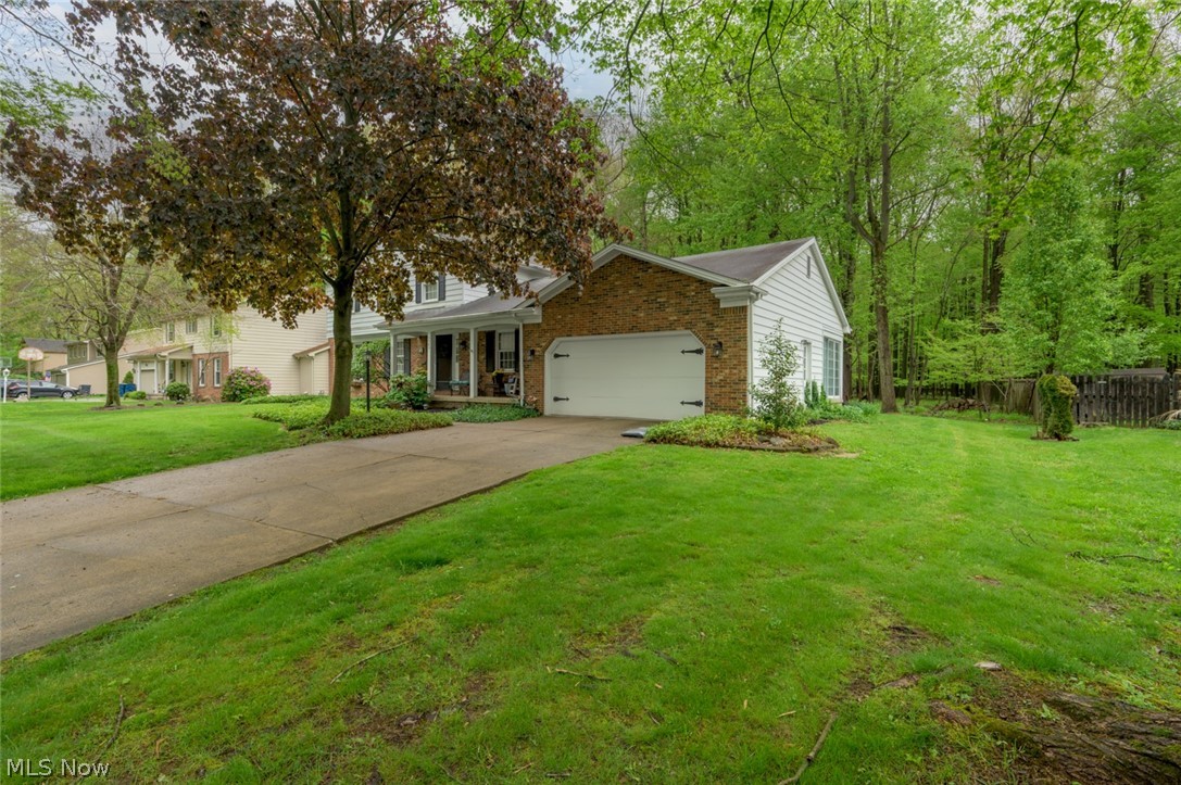 7749 Silver Fox Drive Youngstown OH 44512
