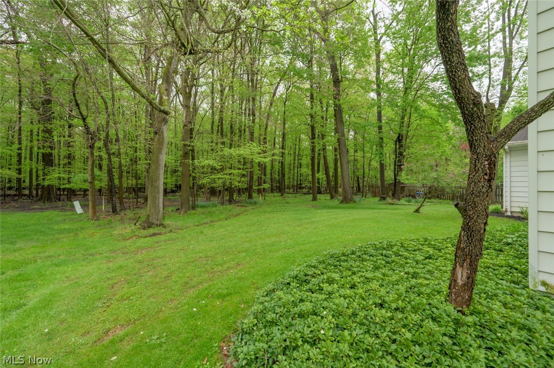 7749 Silver Fox Drive Youngstown OH 44512