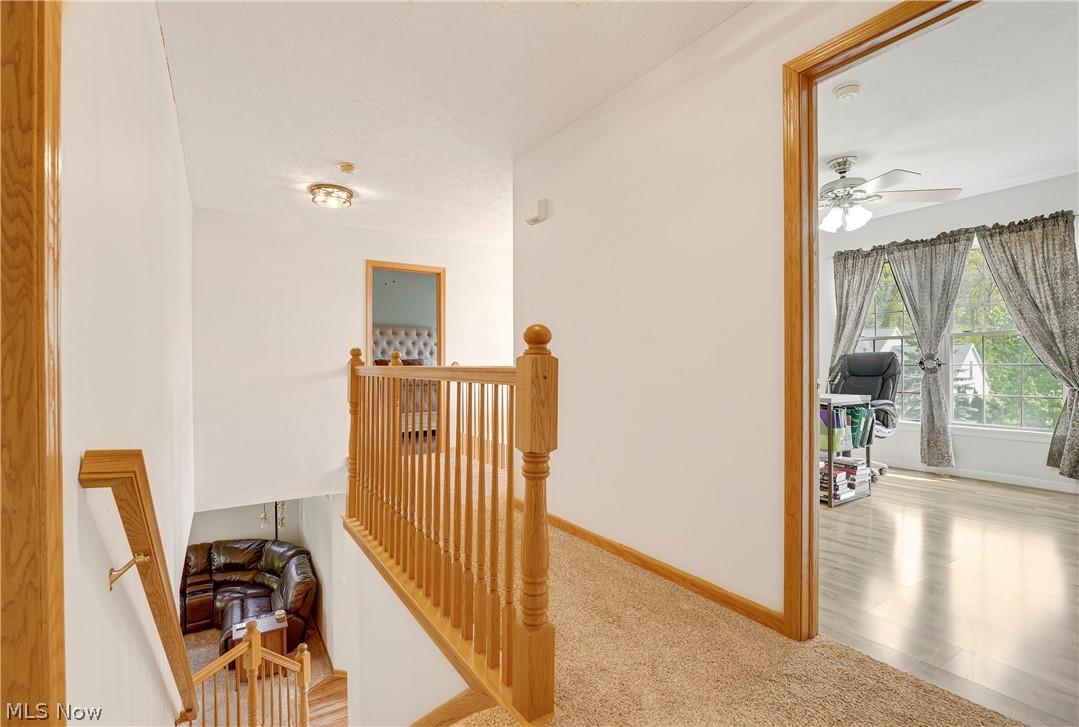 1173 Dover Drive Medina OH 44256