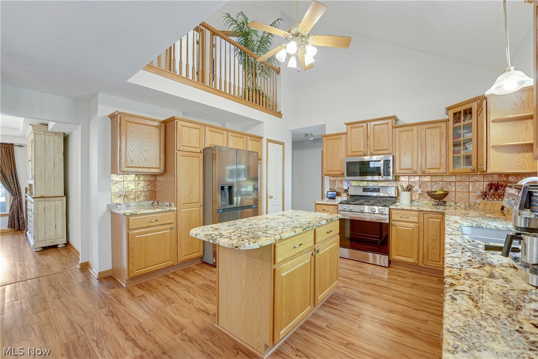 1173 Dover Drive Medina OH 44256
