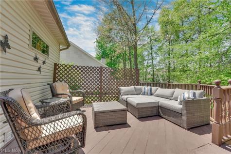 1173 Dover Drive Medina OH 44256