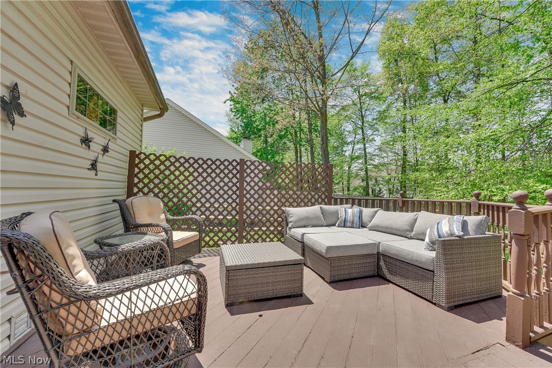 1173 Dover Drive Medina OH 44256