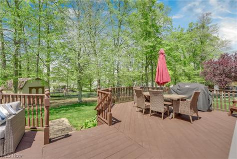 1173 Dover Drive Medina OH 44256