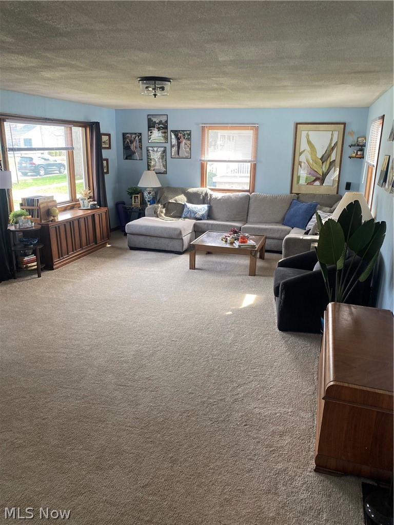 38 Pleasant Street Wakeman OH 44889