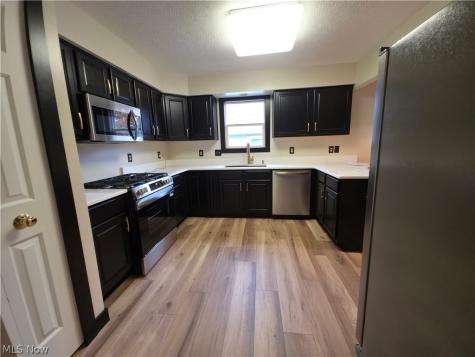 10258 Mayapple Place Broadview Heights OH 44147