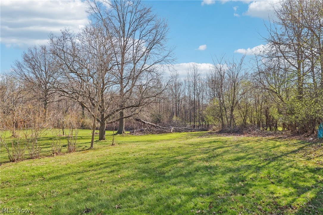 2825 Orchard Drive Willoughby Hills OH 44092