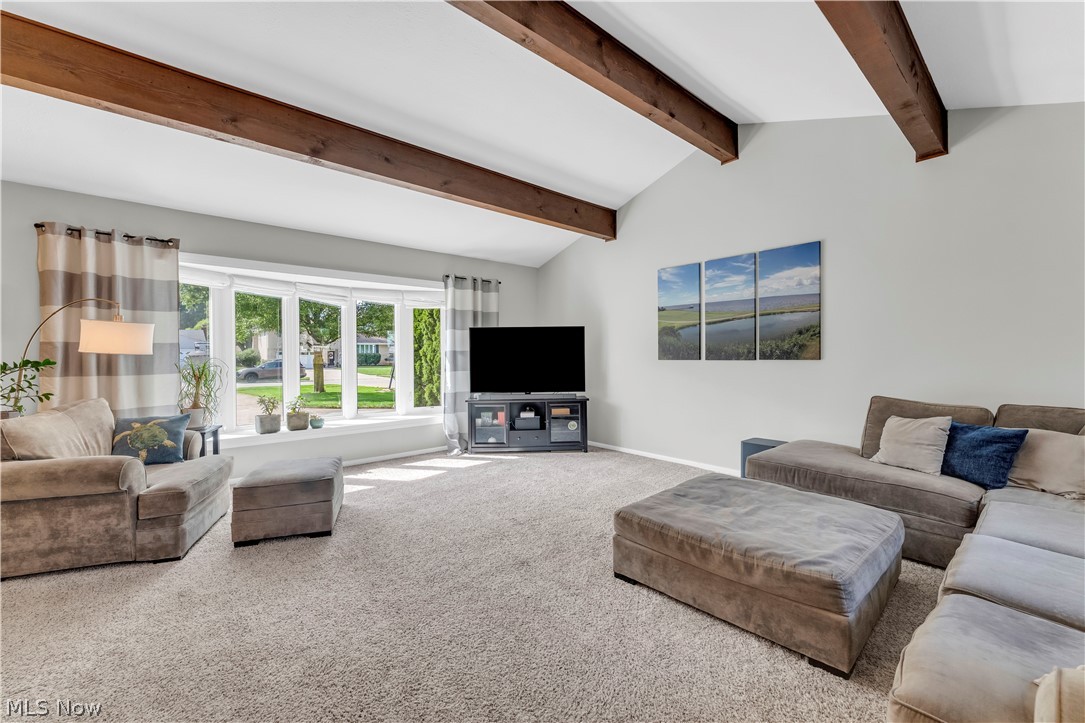 6027 Park Ridge Drive North Olmsted OH 44070
