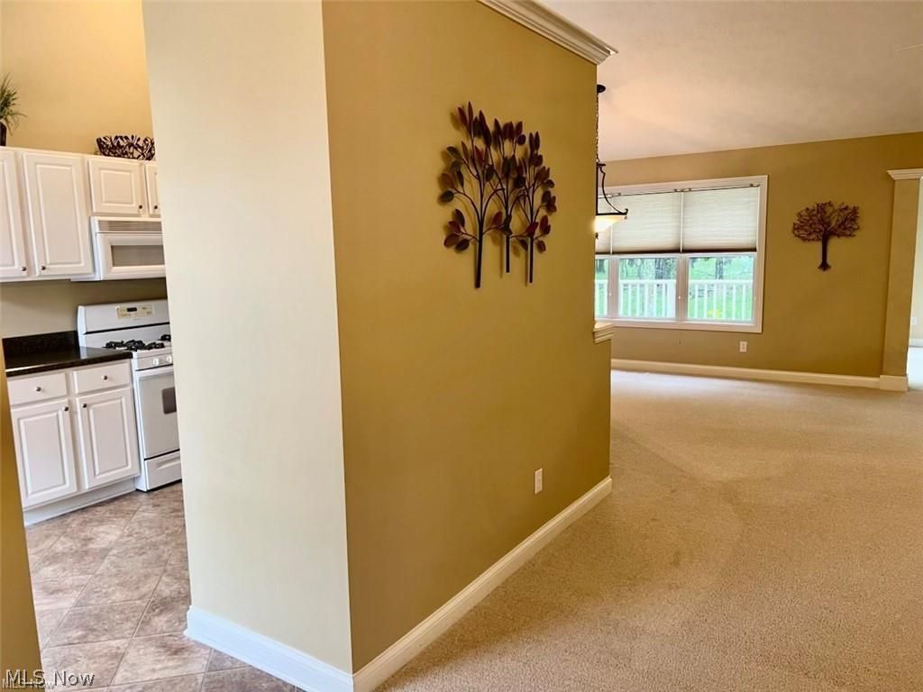 11221 Peppermint Place North Royalton OH 44133