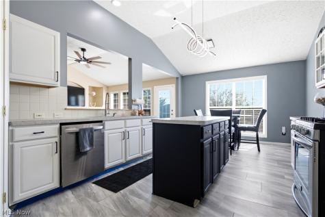 8913 Isabelle Lane Macedonia OH 44056