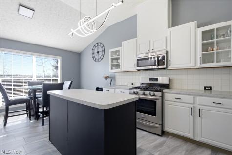 8913 Isabelle Lane Macedonia OH 44056