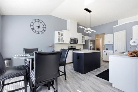 8913 Isabelle Lane Macedonia OH 44056