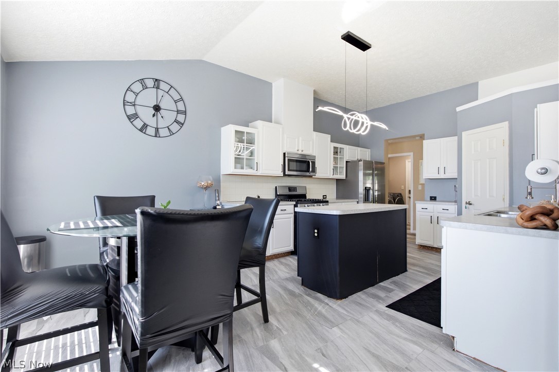 8913 Isabelle Lane Macedonia OH 44056