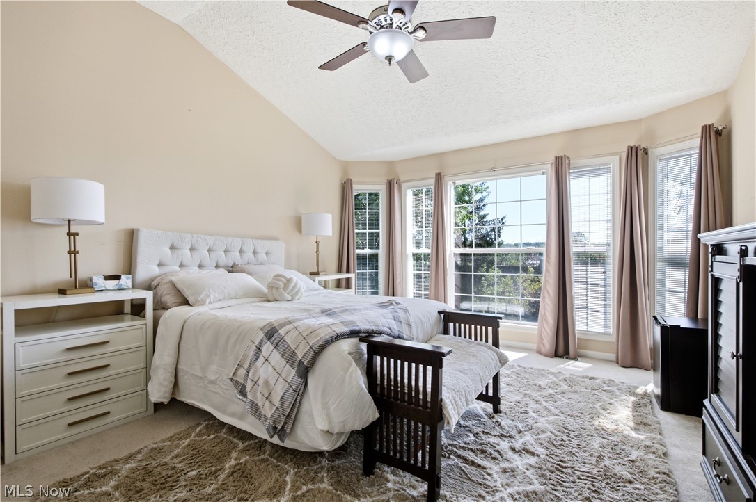 8913 Isabelle Lane Macedonia OH 44056