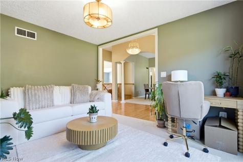 8913 Isabelle Lane Macedonia OH 44056