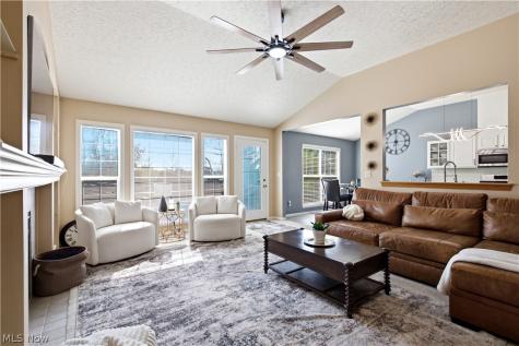 8913 Isabelle Lane Macedonia OH 44056