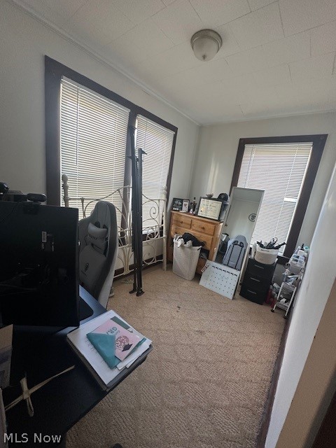 66 W High Street New Concord OH 43762