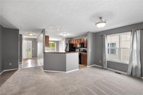 213 Westminster Way Elyria OH 44035