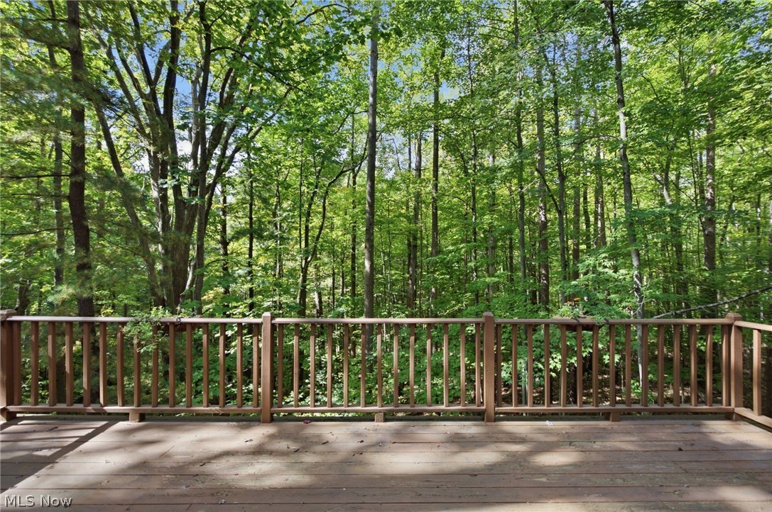 13774 Oak Tree Trail Chardon OH 44024