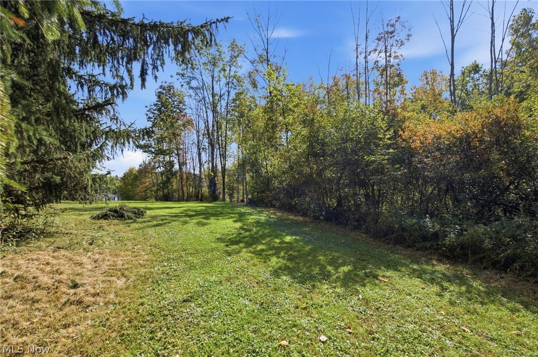 13774 Oak Tree Trail Chardon OH 44024