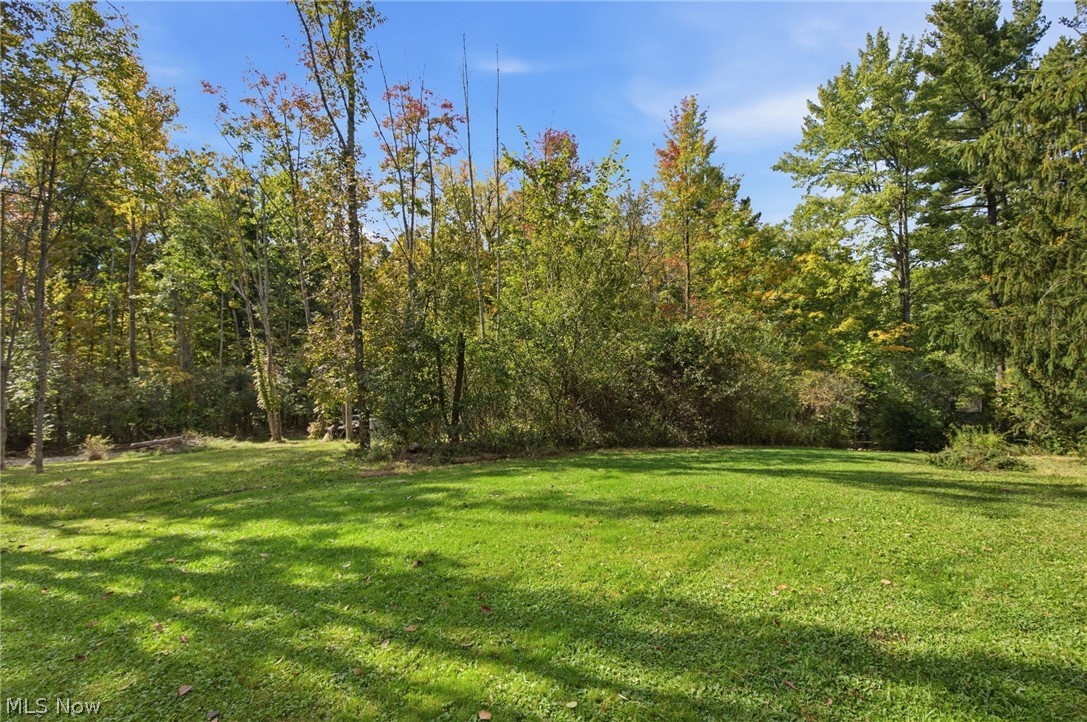 13774 Oak Tree Trail Chardon OH 44024