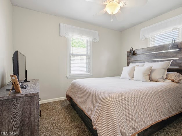 63 Helena Struthers OH 44471