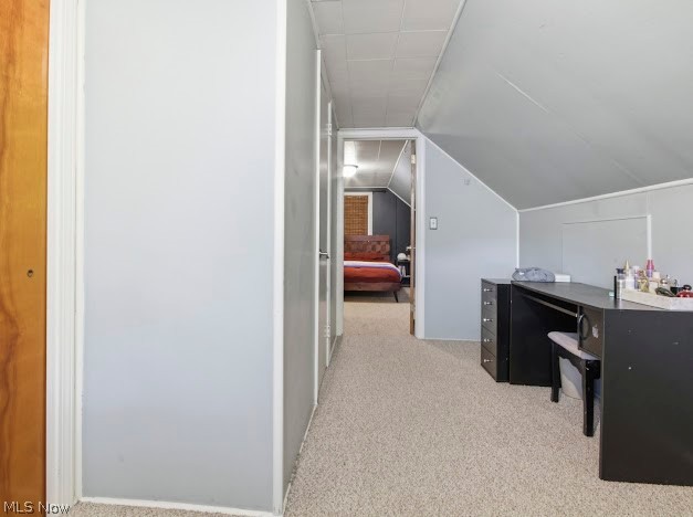 63 Helena Struthers OH 44471