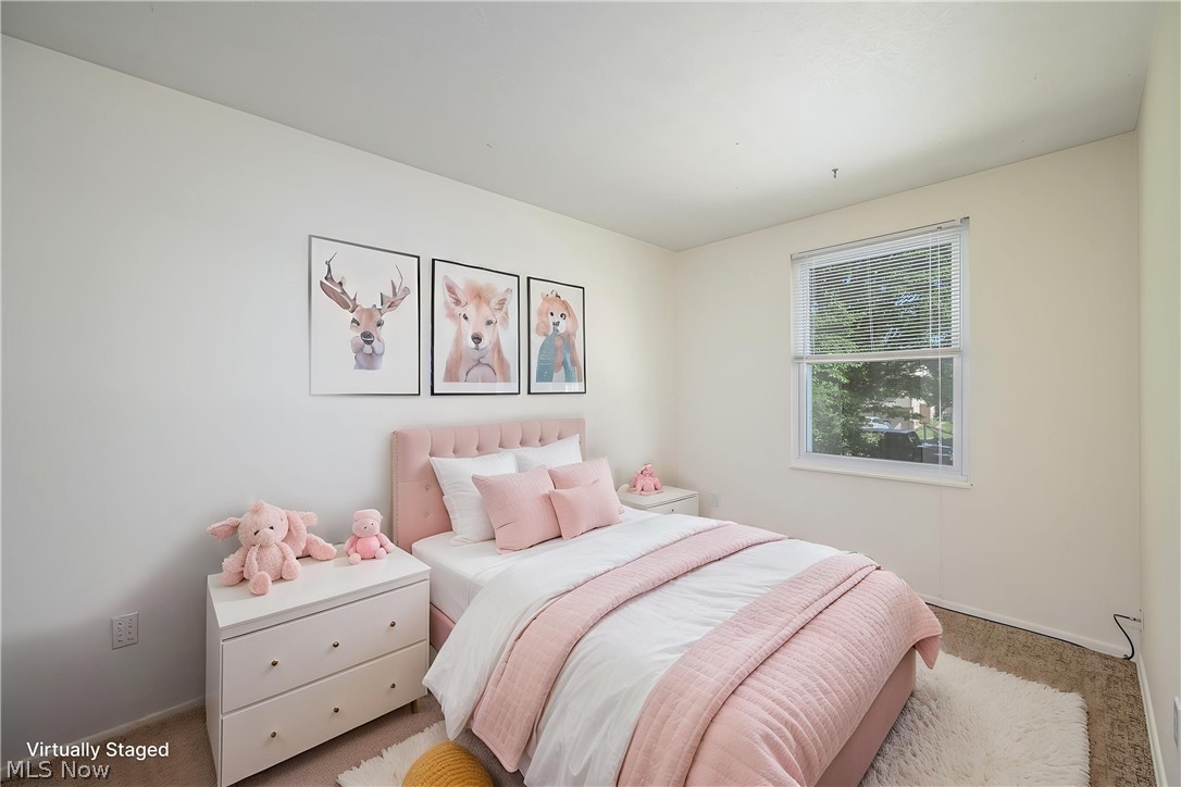 1262 Carol Drive Kent OH 44240