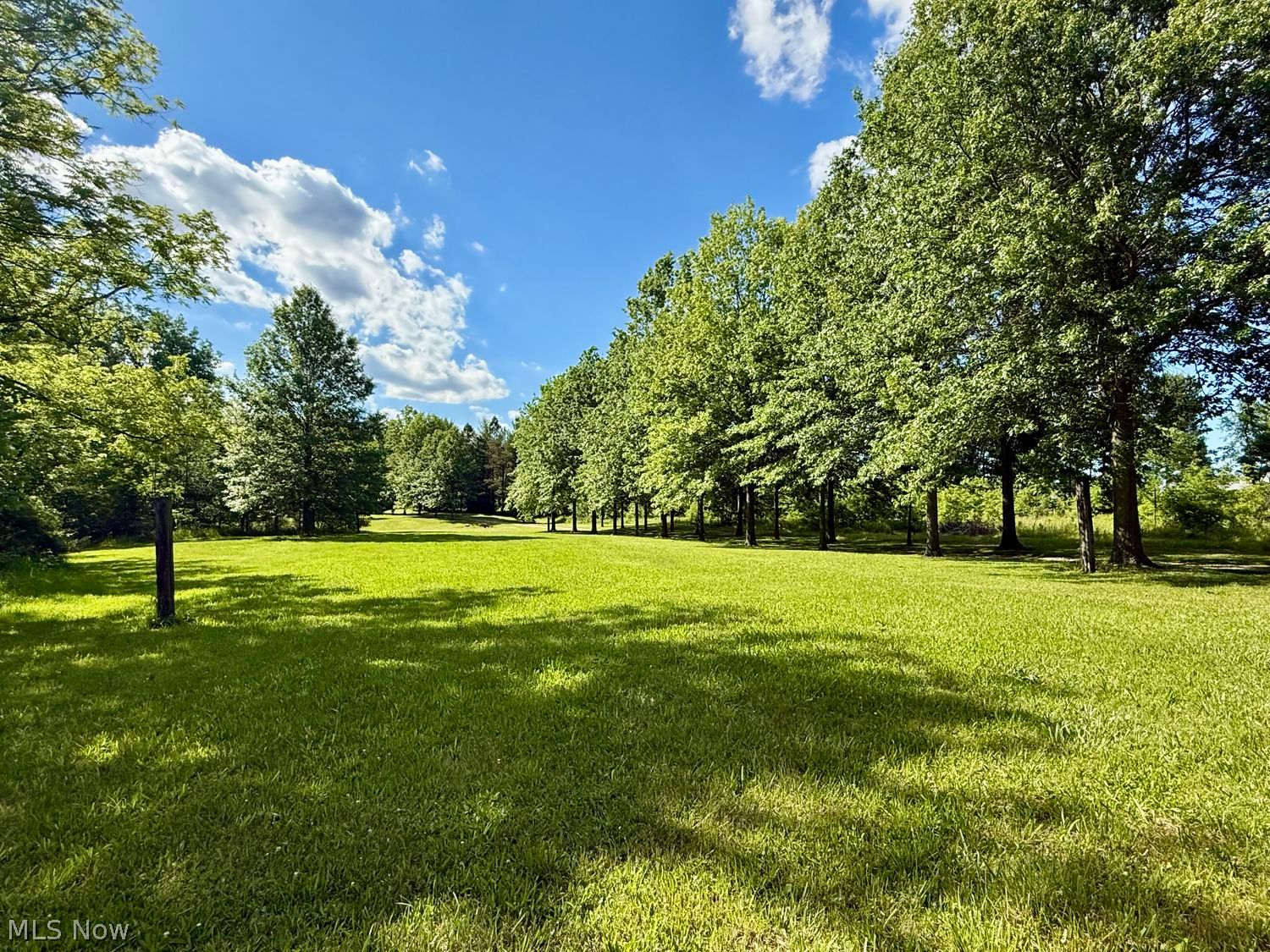 19845 Mosher Road Wellington OH 44090