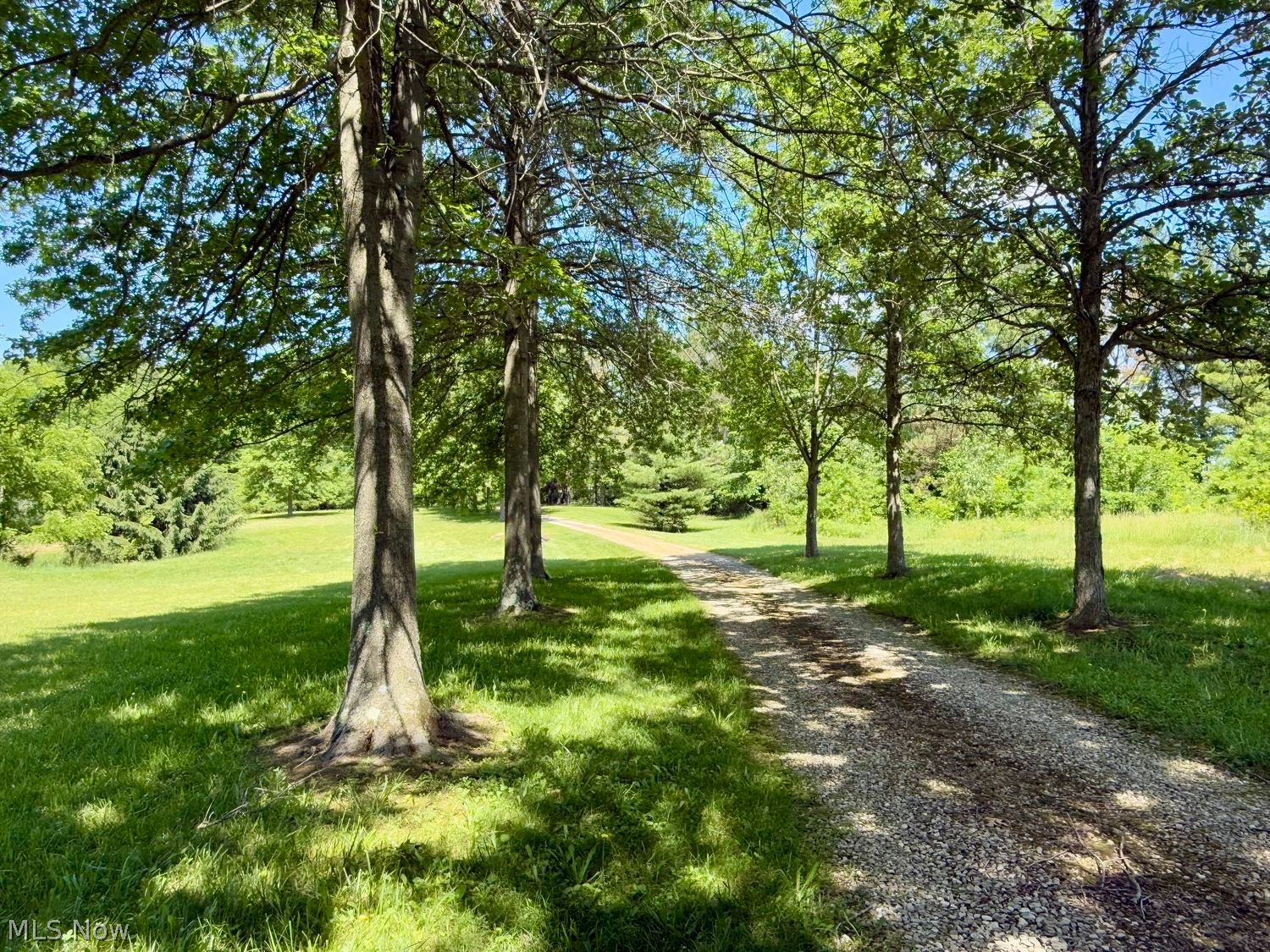 19845 Mosher Road Wellington OH 44090