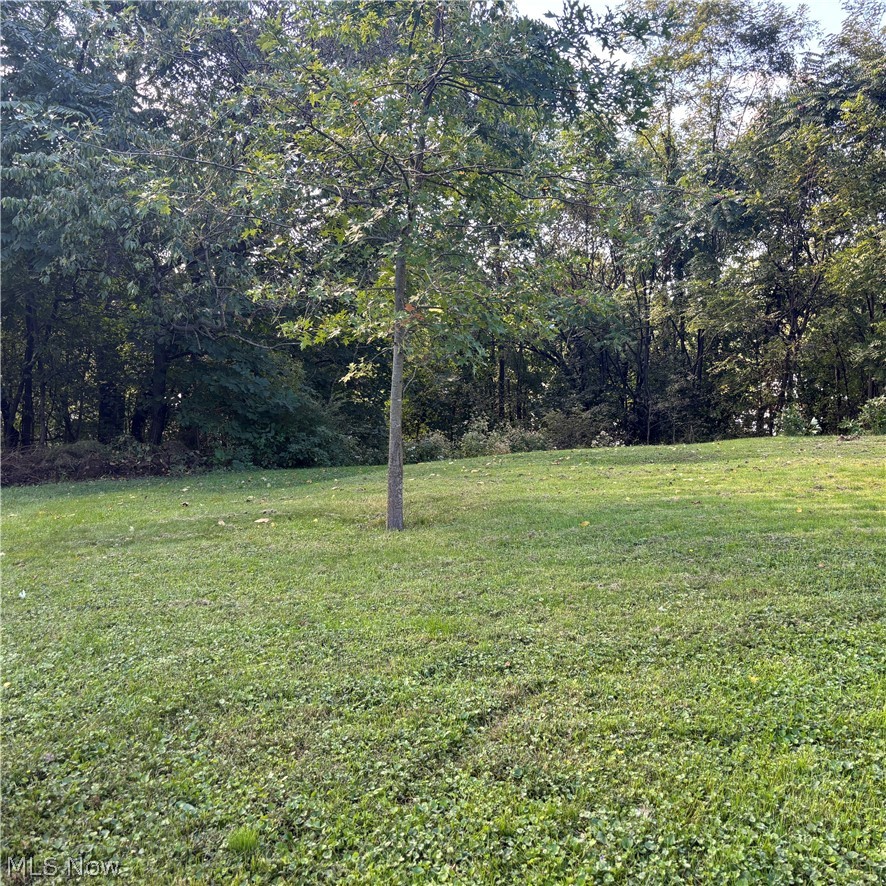 1371 Mitchell Avenue Zanesville OH 43701