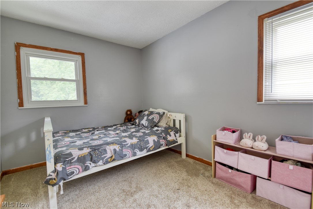 502 Roosevelt Drive Geneva OH 44041