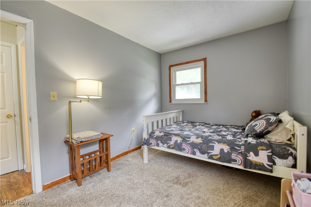 502 Roosevelt Drive Geneva OH 44041