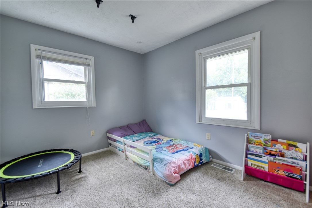 502 Roosevelt Drive Geneva OH 44041