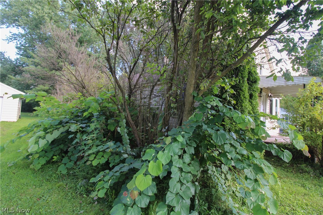 4484 Nutwood Avenue NW Warren OH 44483