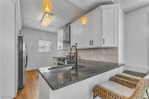 1252 Andrews Avenue Lakewood OH 44107