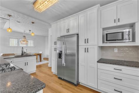 1252 Andrews Avenue Lakewood OH 44107