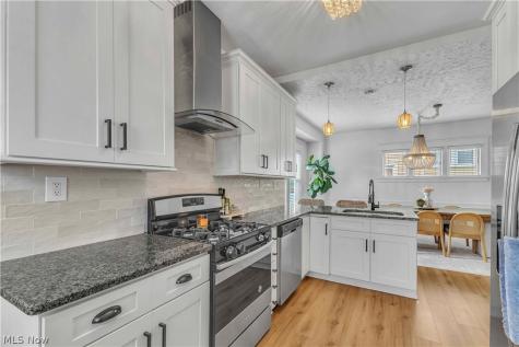 1252 Andrews Avenue Lakewood OH 44107