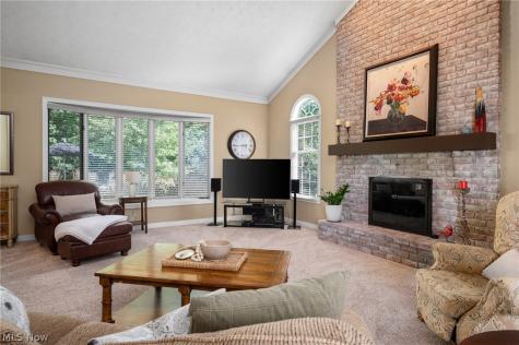 6559 Hammontree Drive Hudson OH 44236