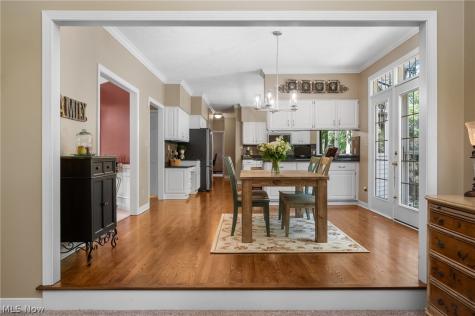 6559 Hammontree Drive Hudson OH 44236