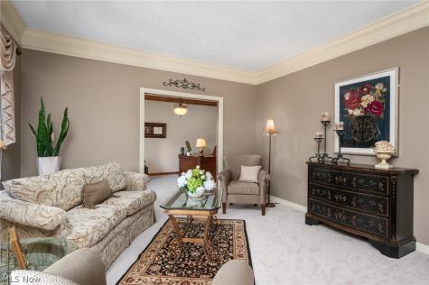 6559 Hammontree Drive Hudson OH 44236