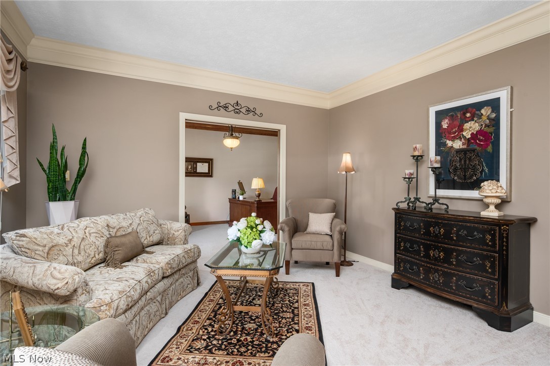 6559 Hammontree Drive Hudson OH 44236